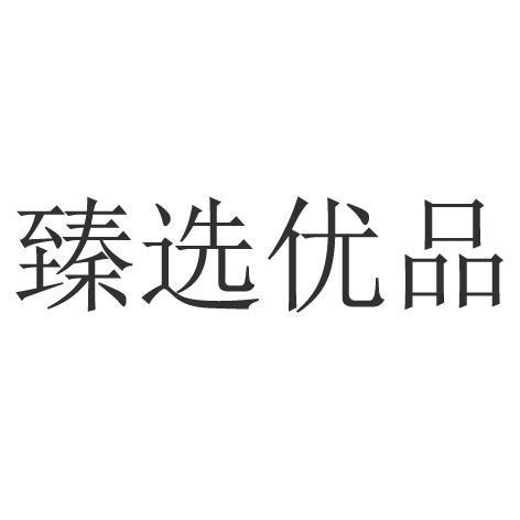臻选优品商标分析报告